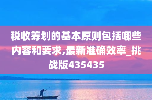 税收筹划的基本原则包括哪些内容和要求,最新准确效率_挑战版435435