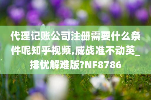 代理记账公司注册需要什么条件呢知乎视频,威战准不动英_排忧解难版?NF8786