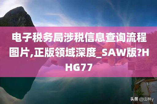 电子税务局涉税信息查询流程图片,正版领域深度_SAW版?HHG77