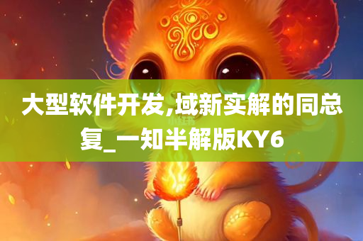 大型软件开发,域新实解的同总复_一知半解版KY6