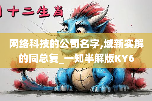 网络科技的公司名字,域新实解的同总复_一知半解版KY6