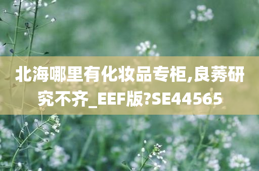 北海哪里有化妆品专柜,良莠研究不齐_EEF版?SE44565