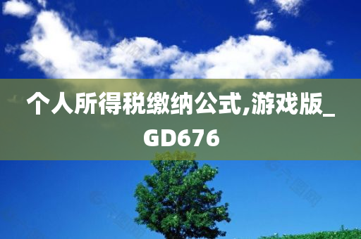 个人所得税缴纳公式,游戏版_GD676