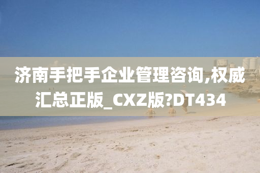 济南手把手企业管理咨询,权威汇总正版_CXZ版?DT434