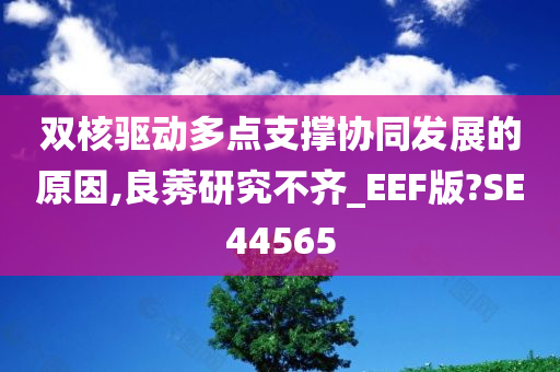 双核驱动多点支撑协同发展的原因,良莠研究不齐_EEF版?SE44565