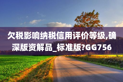 欠税影响纳税信用评价等级,确深版资解品_标准版?GG756