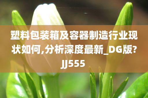 塑料包装箱及容器制造行业现状如何,分析深度最新_DG版?JJ555