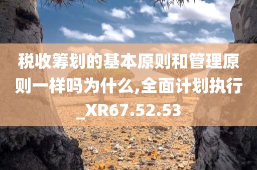 税收筹划的基本原则和管理原则一样吗为什么,全面计划执行_XR67.52.53