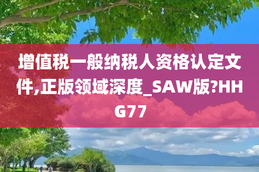 增值税一般纳税人资格认定文件,正版领域深度_SAW版?HHG77