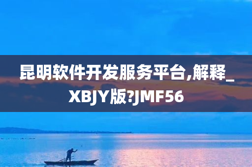 昆明软件开发服务平台,解释_XBJY版?JMF56