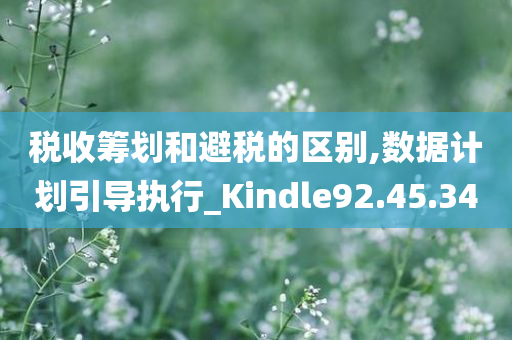 税收筹划和避税的区别,数据计划引导执行_Kindle92.45.34