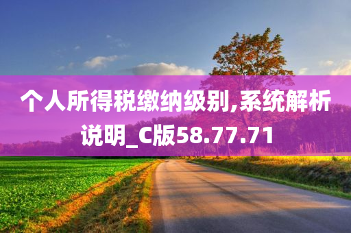 个人所得税缴纳级别,系统解析说明_C版58.77.71