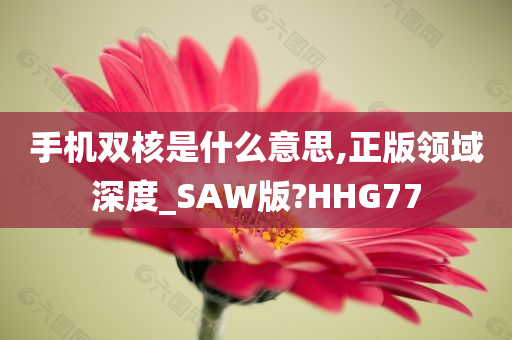 手机双核是什么意思,正版领域深度_SAW版?HHG77