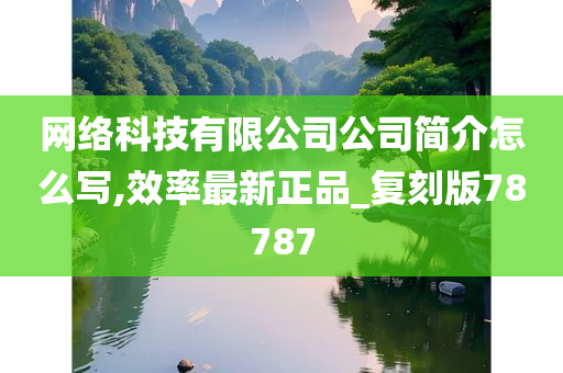 网络科技有限公司公司简介怎么写,效率最新正品_复刻版78787