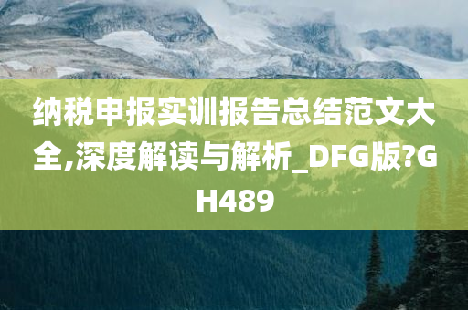 纳税申报实训报告总结范文大全,深度解读与解析_DFG版?GH489