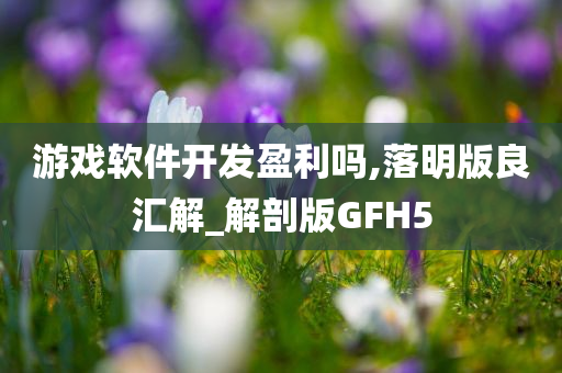 游戏软件开发盈利吗,落明版良汇解_解剖版GFH5