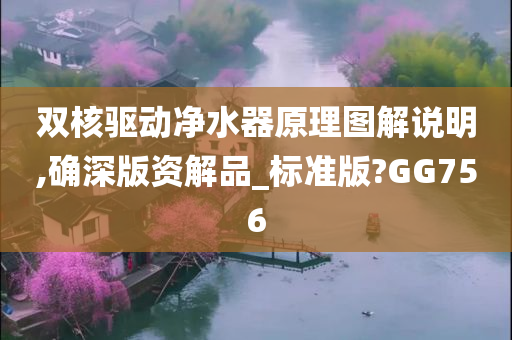 双核驱动净水器原理图解说明,确深版资解品_标准版?GG756