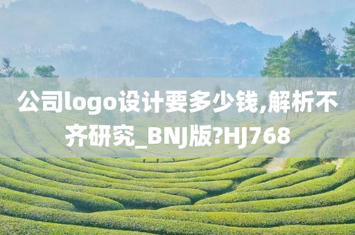 公司logo设计要多少钱,解析不齐研究_BNJ版?HJ768