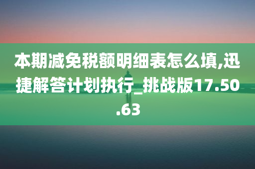 本期减免税额明细表怎么填,迅捷解答计划执行_挑战版17.50.63