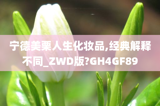 宁德美栗人生化妆品,经典解释不同_ZWD版?GH4GF89