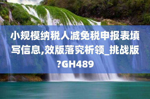 小规模纳税人减免税申报表填写信息,效版落究析领_挑战版?GH489