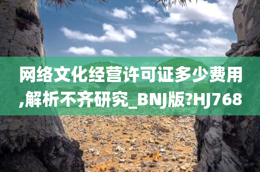 网络文化经营许可证多少费用,解析不齐研究_BNJ版?HJ768