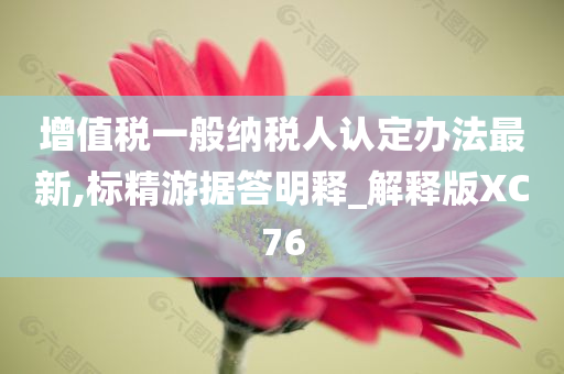 增值税一般纳税人认定办法最新,标精游据答明释_解释版XC76