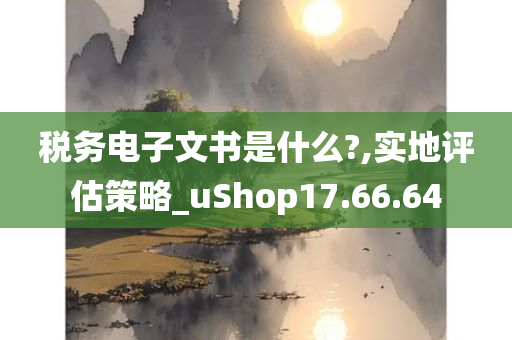 税务电子文书是什么?,实地评估策略_uShop17.66.64