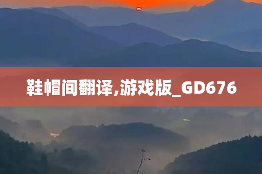 鞋帽间翻译,游戏版_GD676