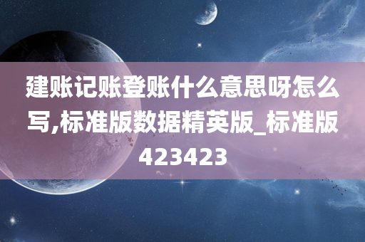 建账记账登账什么意思呀怎么写,标准版数据精英版_标准版423423