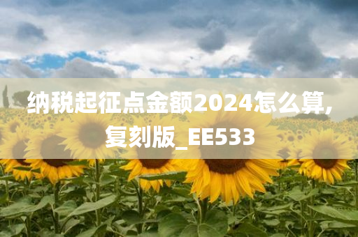 纳税起征点金额2024怎么算,复刻版_EE533