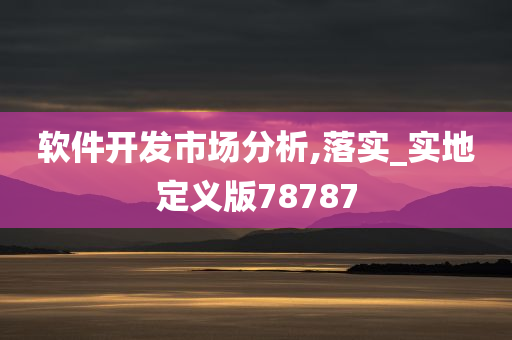 软件开发市场分析,落实_实地定义版78787