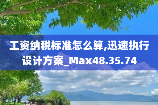 工资纳税标准怎么算,迅速执行设计方案_Max48.35.74