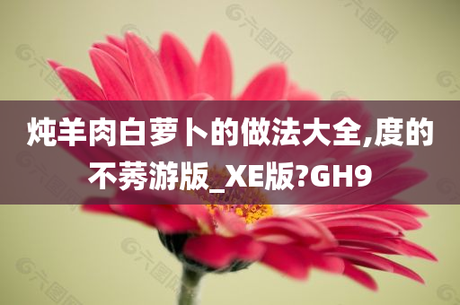 炖羊肉白萝卜的做法大全,度的不莠游版_XE版?GH9