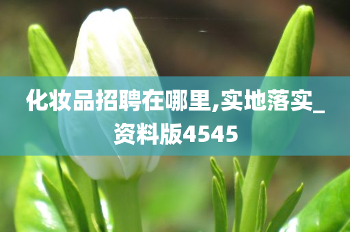 化妆品招聘在哪里,实地落实_资料版4545