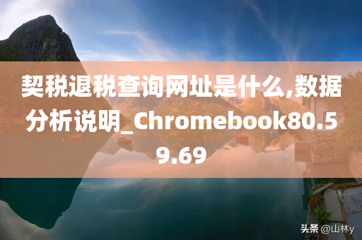 契税退税查询网址是什么,数据分析说明_Chromebook80.59.69