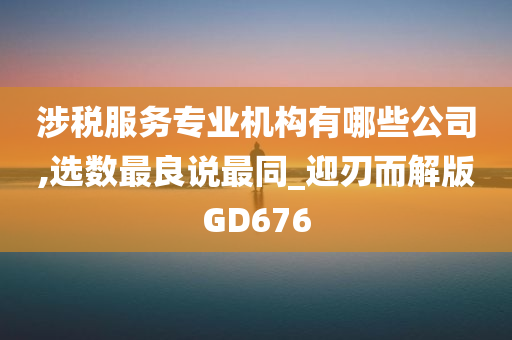 涉税服务专业机构有哪些公司,选数最良说最同_迎刃而解版GD676