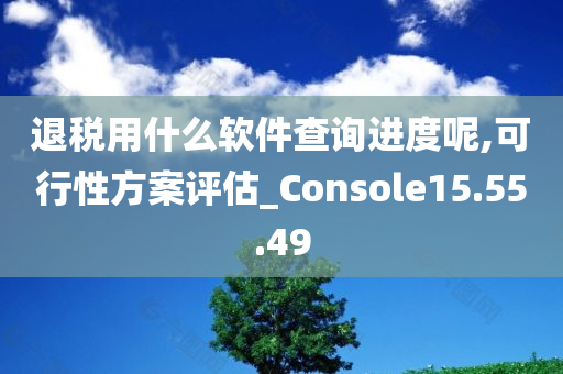 退税用什么软件查询进度呢,可行性方案评估_Console15.55.49