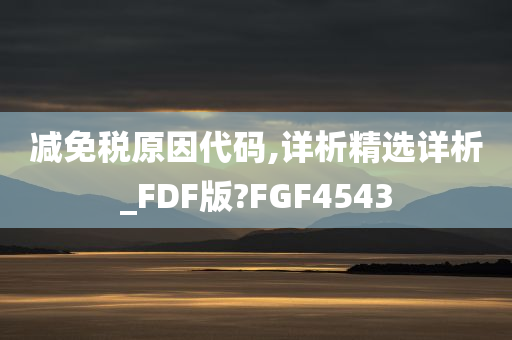 减免税原因代码,详析精选详析_FDF版?FGF4543