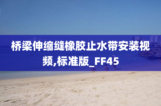 桥梁伸缩缝橡胶止水带安装视频,标准版_FF45