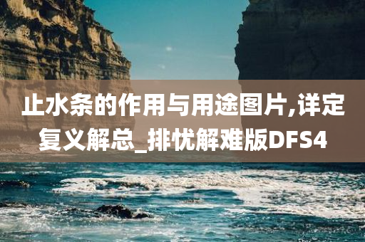 止水条的作用与用途图片,详定复义解总_排忧解难版DFS4