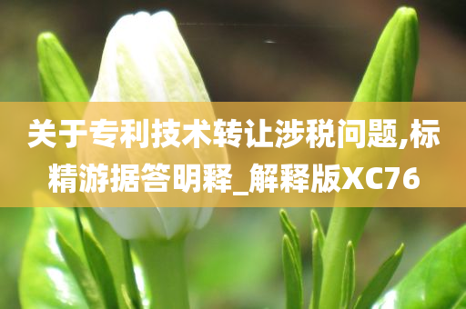 关于专利技术转让涉税问题,标精游据答明释_解释版XC76