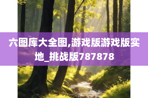 六图库大全图,游戏版游戏版实地_挑战版787878