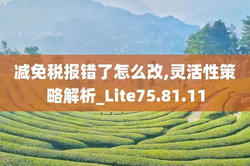 减免税报错了怎么改,灵活性策略解析_Lite75.81.11