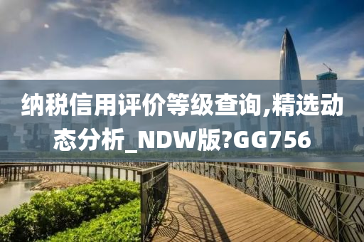 纳税信用评价等级查询,精选动态分析_NDW版?GG756