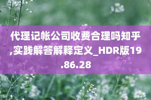 代理记帐公司收费合理吗知乎,实践解答解释定义_HDR版19.86.28