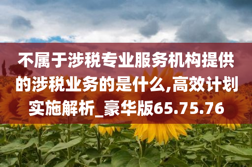 不属于涉税专业服务机构提供的涉税业务的是什么,高效计划实施解析_豪华版65.75.76