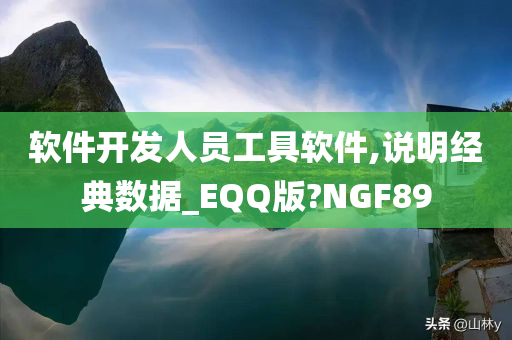 软件开发人员工具软件,说明经典数据_EQQ版?NGF89