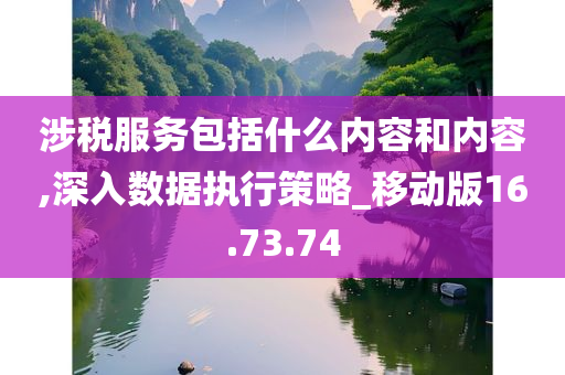 涉税服务包括什么内容和内容,深入数据执行策略_移动版16.73.74