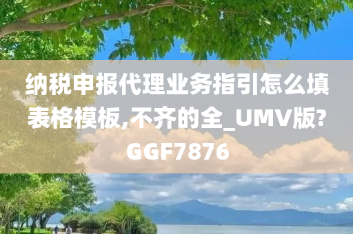 纳税申报代理业务指引怎么填表格模板,不齐的全_UMV版?GGF7876